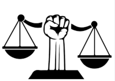 Journal of law
